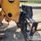 2016-jcb-510-56-image-9
