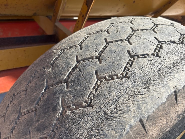 knight-big-auggie-14-image-43