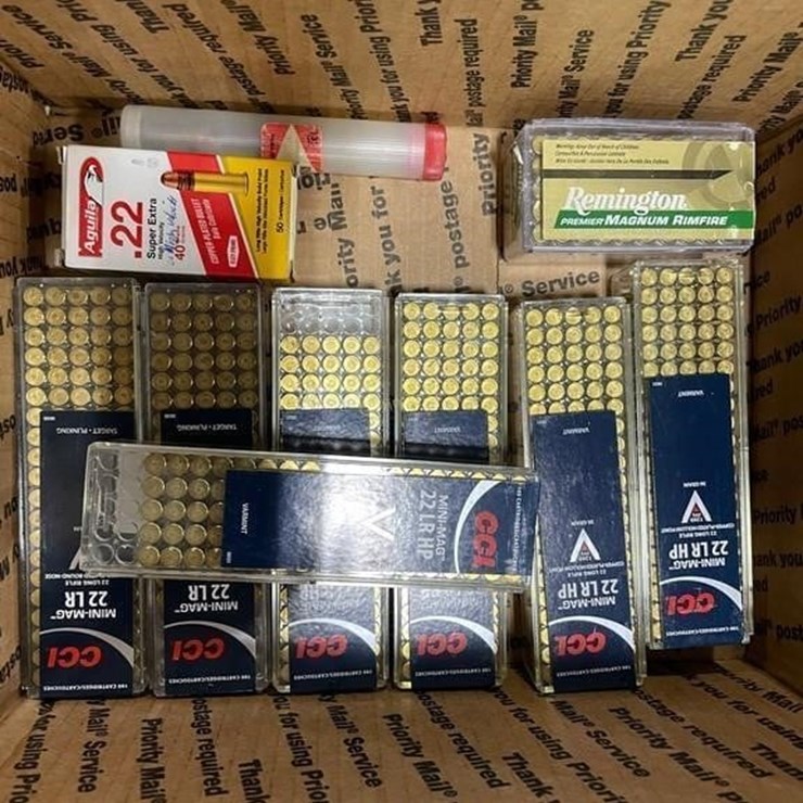 650 +/- Rounds of misc 22cal Ammo