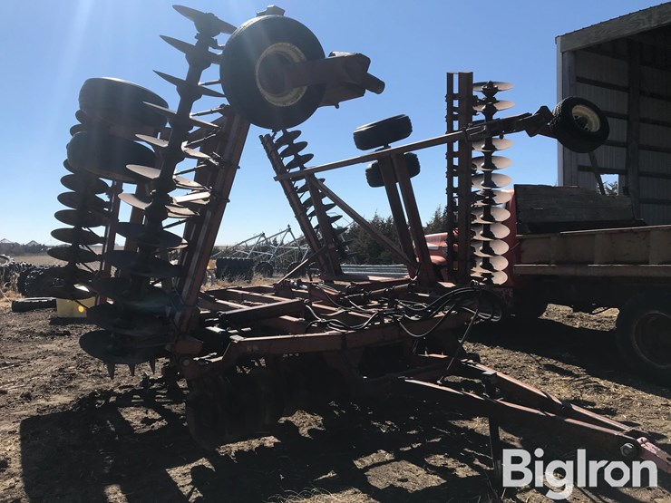 sunflower-1230-image-3