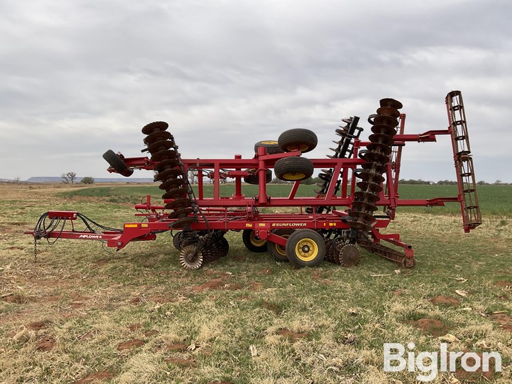 sunflower-6631-24-image-8