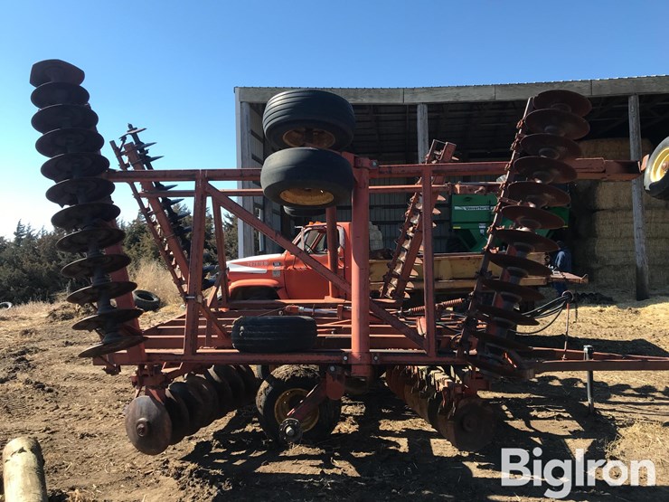 sunflower-1230-image-4