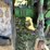 1983-john-deere-4450-image-19