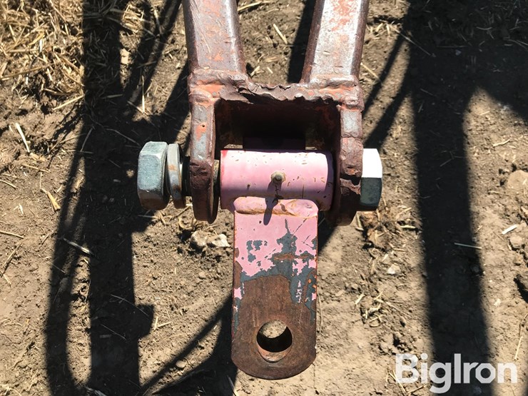 sunflower-1230-image-9