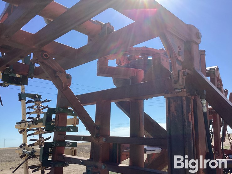 sunflower-3670-35-image-18