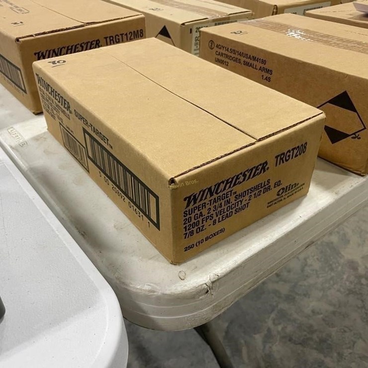 250 Rounds Winchester 20ga Ammo
