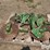 john-deere-1770nt-image-2