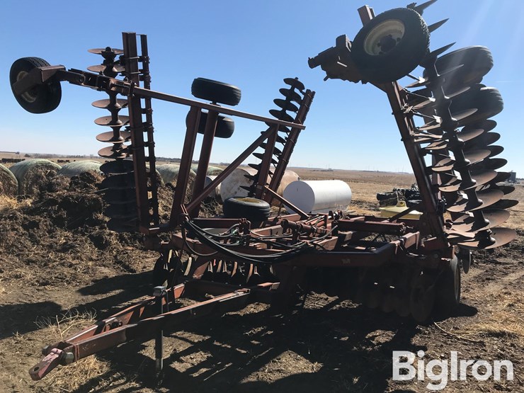 sunflower-1230-image-1