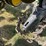 kinze-rf-image-18