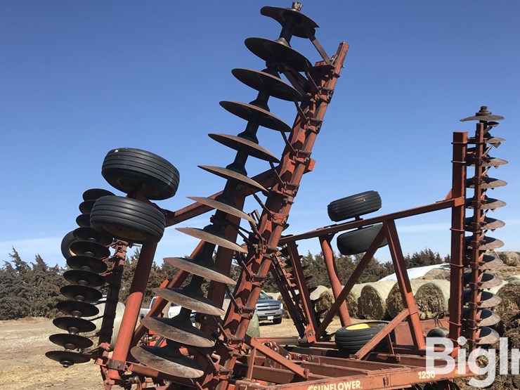 sunflower-1230-image-7