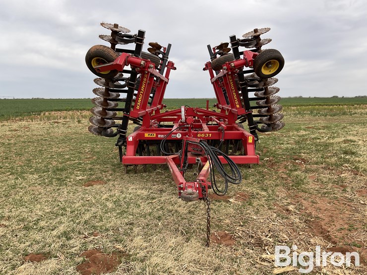 sunflower-6631-24-image-2