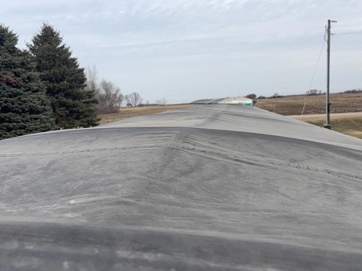 2018-wilson-dwh-image-12