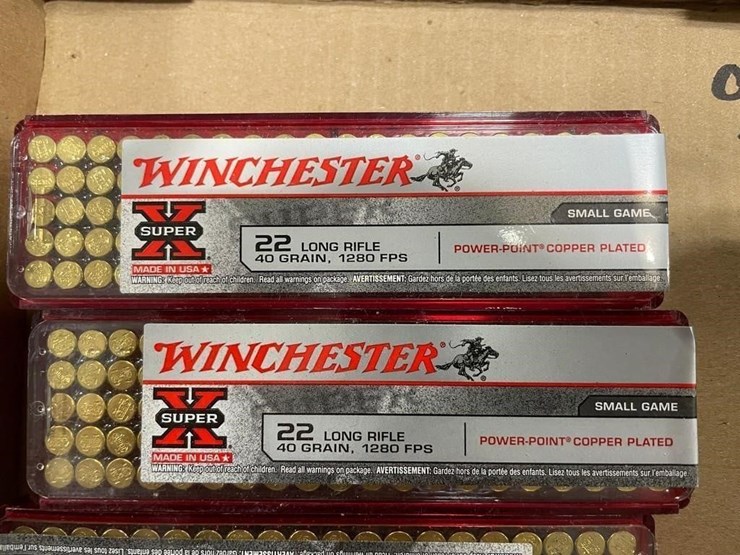 550-+/--rounds-22lr-ammo-image-3