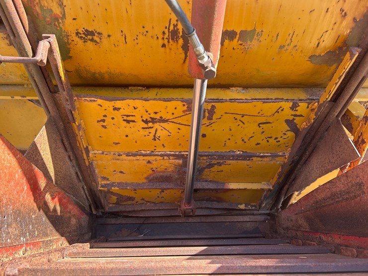 knight-big-auggie-14-image-25