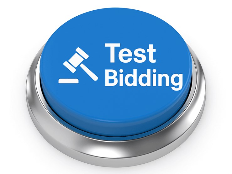 #7-•-test-bidding-image-1