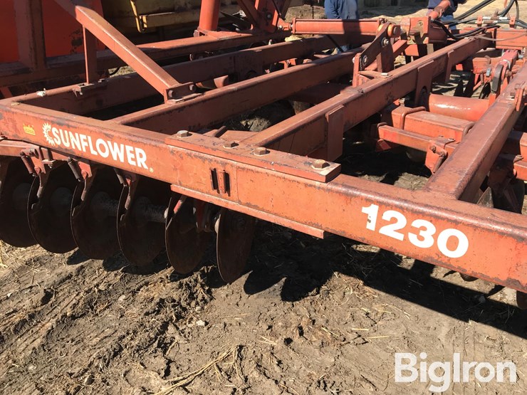 sunflower-1230-image-13