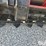 2025-massey-ferguson-730-image-11