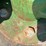 john-deere-1770nt-image-13