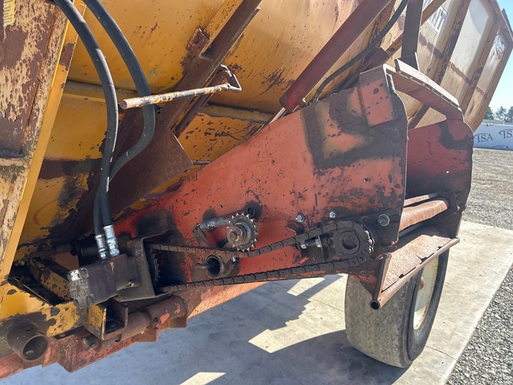 knight-big-auggie-14-image-20