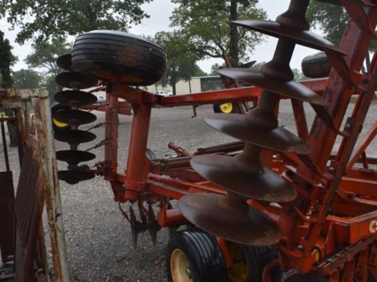 sunflower-1230-image-8