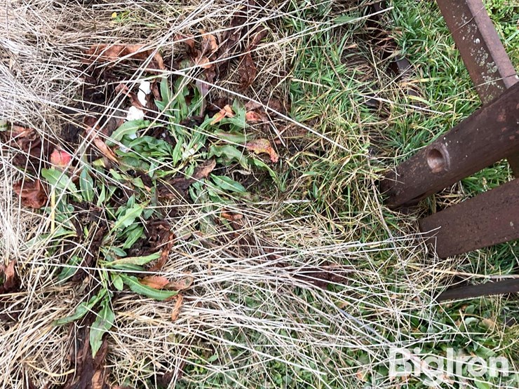 westendorf-wl-42-image-16