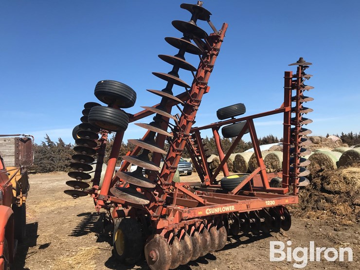 sunflower-1230-image-6