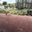 #46922-•-~550gal-fuel-tank-image-7