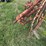 #46931-•-rossi-rt79-hay-rake-image-16