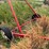 #46915-•-westfield-50'-grain-auger-image-17