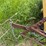#46918-•-levee-packer-image-16
