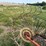 #46931-•-rossi-rt79-hay-rake-image-29