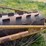 #46926-•-20'-stubble-roller-image-20