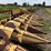 8-new-holland-8-image-39