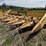 8-new-holland-8-image-3