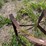 #46925-•-(2)-fuel-tank-stands-image-9