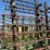 #46905-•-martens-46'-harrow-image-29