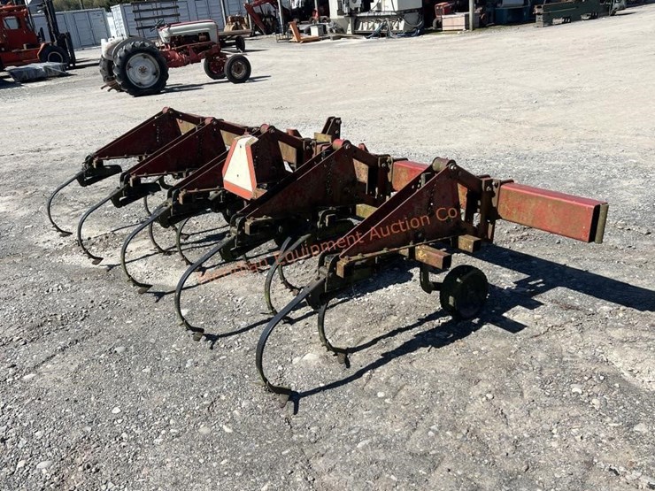 international-5-image-1