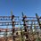 #46905-•-martens-46'-harrow-image-27