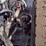2012-freightliner-122sd-image-25