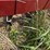 case-ih-5300-image-11