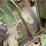 #962-•-john-deere-engine-image-11