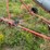 #46914-•-grain-king-gsi-30'-grain-auger-image-13