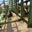 #46905-•-martens-46'-harrow-image-34