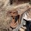 #5517-•-denis-cimaf-excavator-drum-mulcher-attachment-image-10