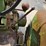 1952-john-deere-model-a-image-29