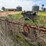 #46931-•-rossi-rt79-hay-rake-image-33