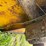 #46926-•-20'-stubble-roller-image-18
