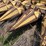 8-new-holland-8-image-24