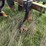 #46934-•-bigham-6-row-38"-terra-till-image-12
