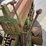 1954-john-deere-60-image-31